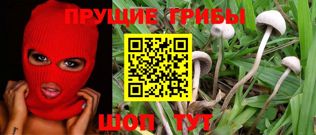 Галлюциногенные грибы Magic Shrooms  Вход с VPN  Подольск 